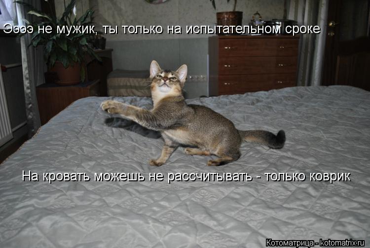 Ээээ не мужик, ты только на испытательном сроке На кровать можешь не рассчитывать - только коврик... Котоматрица: Ээээ не мужик, ты только на испытательном сроке На кровать можешь не рассчитывать - только коврик
