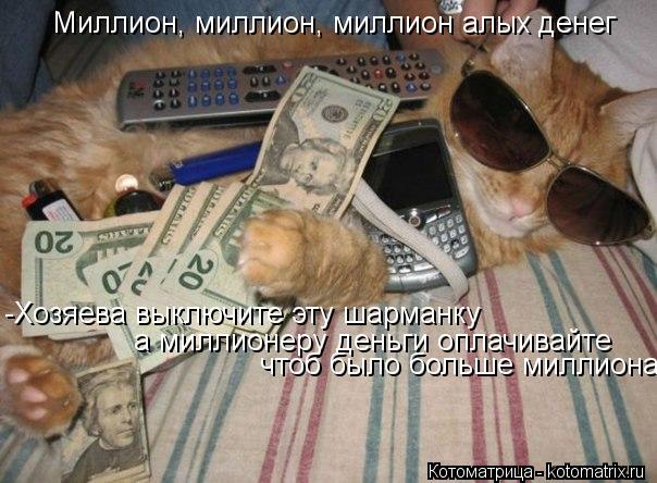 Котоматрица: Миллион, миллион, миллион алых денег -Хозяева выключите эту шарманку а миллионеру деньги оплачивайте  чтоб было больше миллиона