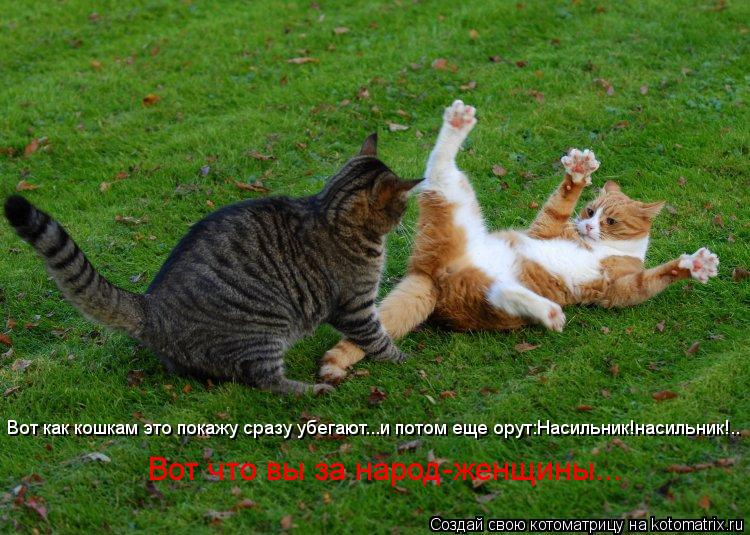 Котоматрица: Вот как кошкам это покажу сразу убегают...и потом еще орут:Насильник!насильник!..    Вот что вы за народ-женщины...