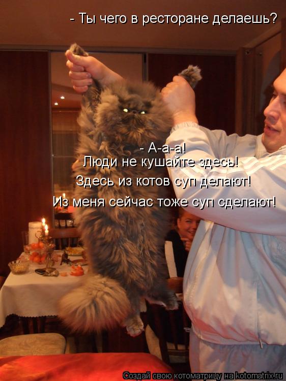 Котоматрица: - Ты чего в ресторане делаешь? - А-а-а! Люди не кушайте здесь!  Здесь из котов суп делают! Из меня сейчас тоже суп сделают!