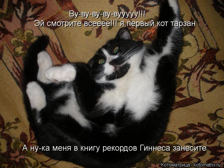 Котоматрица: Ву-ву-ву-ву-вууууу!!!   Эй смотрите всееее!!! я первый кот тарзан А ну-ка меня в книгу рекордов Гиннеса занесите