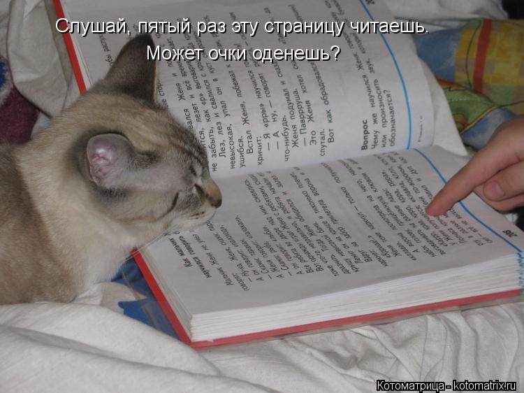 Котоматрица: Слушай, пятый раз эту страницу читаешь. Может очки оденешь?