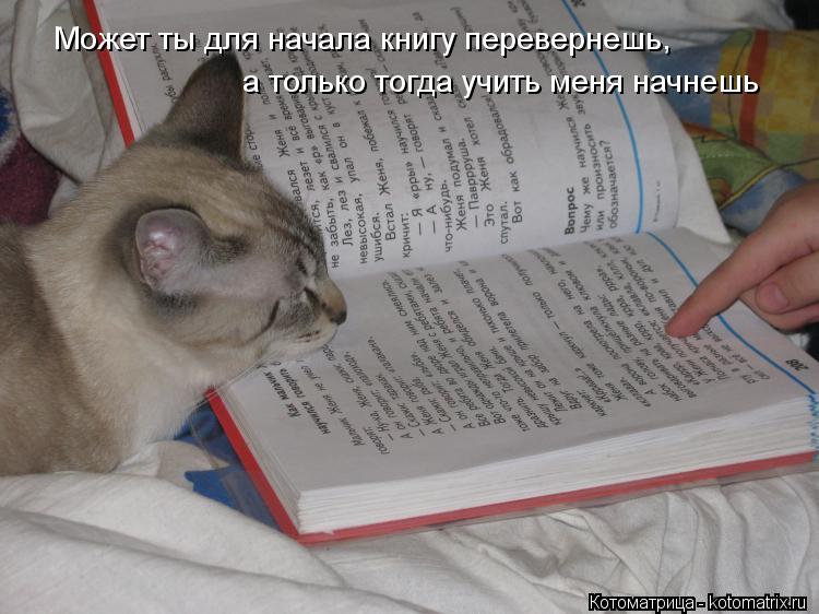 Может ты для начала книгу перевернешь, а только тогда учить меня начнешь... Котоматрица: Может ты для начала книгу перевернешь, а только тогда учить меня начнешь