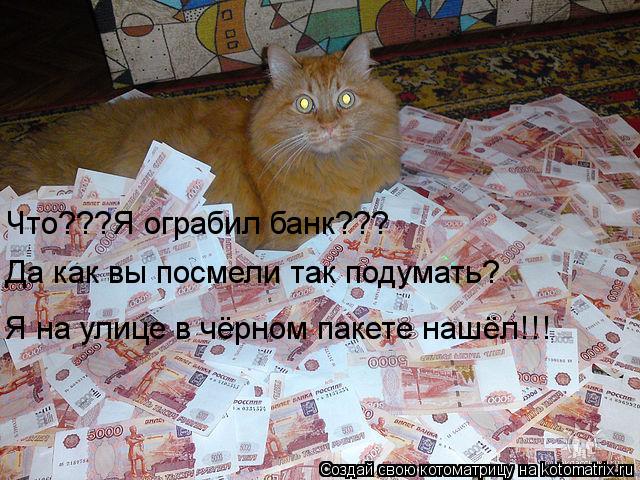 Котоматрица: Да как вы посмели так подумать? Что???Я ограбил банк??? Я на улице в чёрном пакете нашёл!!!