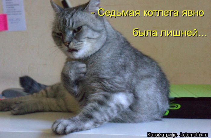 - Седьмая котлета явно была лишней...... Котоматрица: - Седьмая котлета явно была лишней...