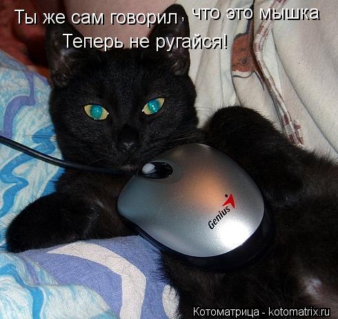 Ты же сам говорил , что это мышка Теперь не ругайся!... Котоматрица: Ты же сам говорил , что это мышка Теперь не ругайся!