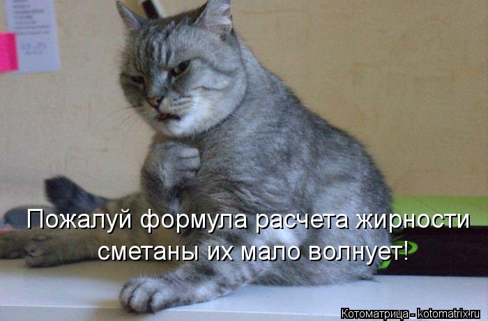 Пожалуй формула расчета жирности сметаны их мало волнует!... Котоматрица: Пожалуй формула расчета жирности сметаны их мало волнует!