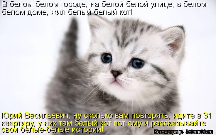Котоматрица: В белом-белом городе, на белой-белой улице, в белом- белом доме, жил белый-белый кот! Юрий Васильевич, ну сколько вам повторять, идите в 31 квар