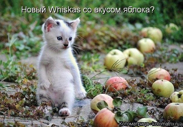 Новый Whiskas со вкусом яблока?... Котоматрица: Новый Whiskas со вкусом яблока?