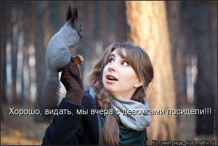 Котоматрица: Хорошо, видать, мы вчера с девочками посидели!!!