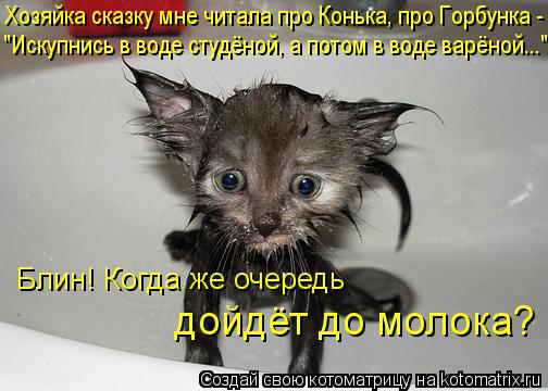 Котоматрица: Хозяйка сказку мне читала про Конька, про Горбунка - "Искупнись в воде студёной, а потом в воде варёной..." Блин! Когда же очередь  дойдёт до мо
