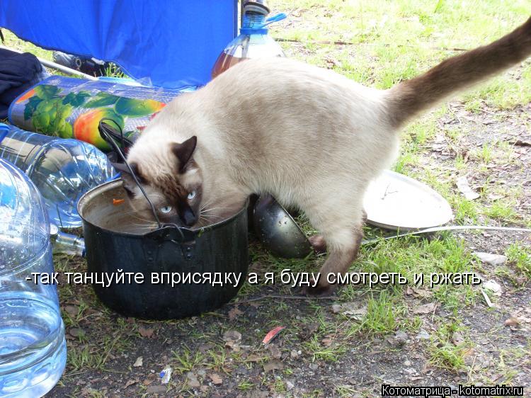 Котоматрица: -так танцуйте вприсядку а я буду смотреть и ржать