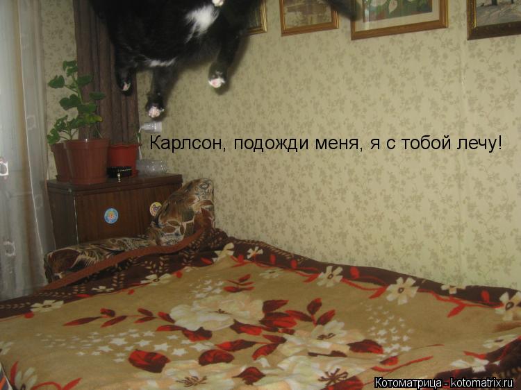 Карлсон, подожди меня, я с тобой лечу!... Котоматрица: Карлсон, подожди меня, я с тобой лечу!