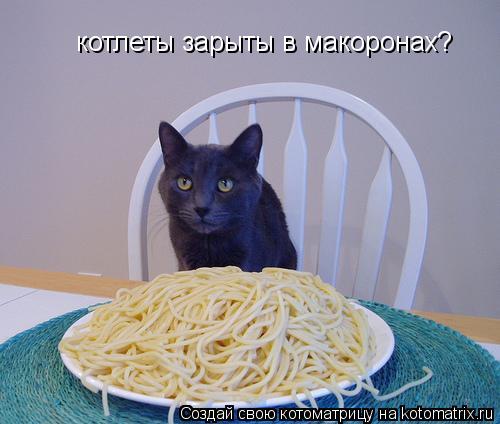 котлеты зарыты в макоронах?... Котоматрица: котлеты зарыты в макоронах?