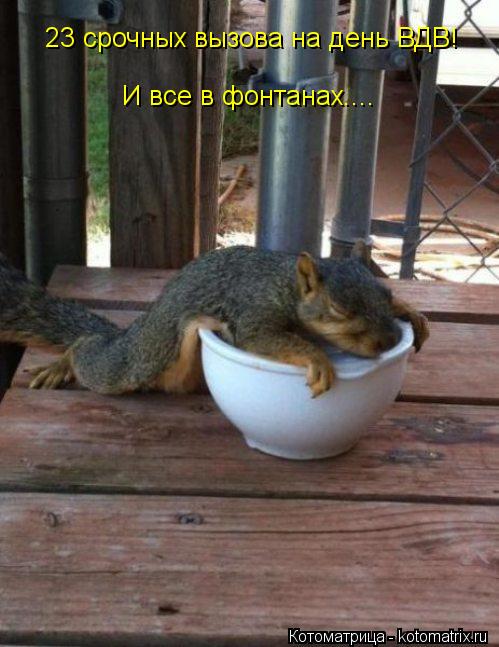 Котоматрица: 23 срочных вызова на день ВДВ! И все в фонтанах....