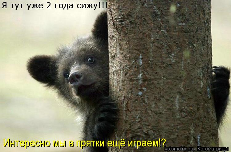 Я тут уже 2 года сижу!!! Интересно мы в прятки ещё играем!?... Котоматрица: Я тут уже 2 года сижу!!! Интересно мы в прятки ещё играем!?