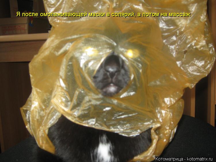 Я после омолаживающей маски в солярий, а потом на массаж... Котоматрица: Я после омолаживающей маски в солярий, а потом на массаж