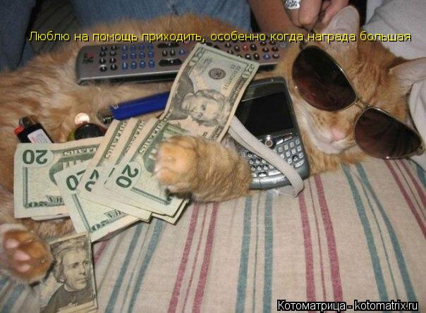 Котоматрица: Люблю на помощь приходить, особенно когда награда большая