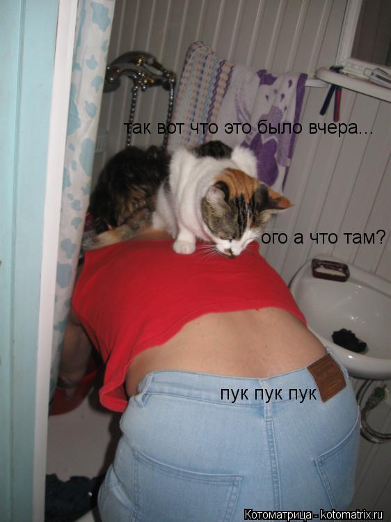ого а что там? пук пук пук так вот что это было вчера...... Котоматрица: ого а что там? пук пук пук так вот что это было вчера...