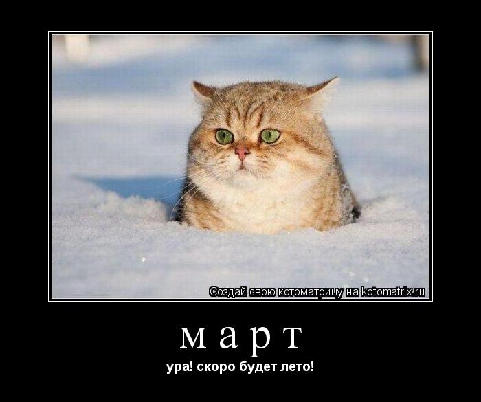Котоматрица: март ура! скоро будет лето!