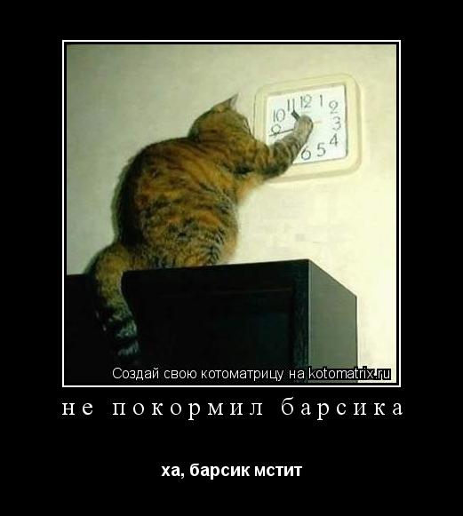 Котоматрица:  не покормил барсика ха, барсик мстит