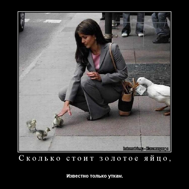 Котоматрица: Сколько стоит золотое яйцо, Известно только уткам.