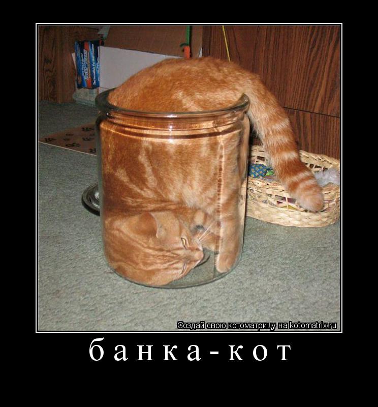 Котоматрица: банка-кот 