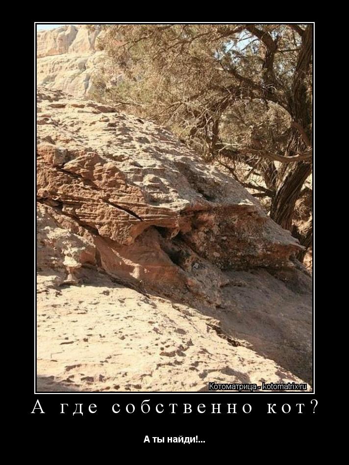Котоматрица: А где собственно кот? А ты найди!...