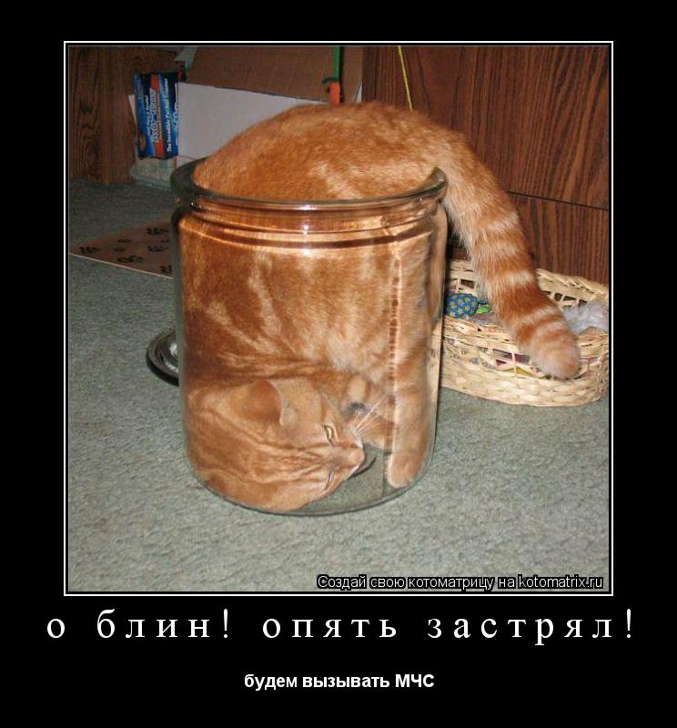 Котоматрица: о блин! опять застрял! будем вызывать МЧС