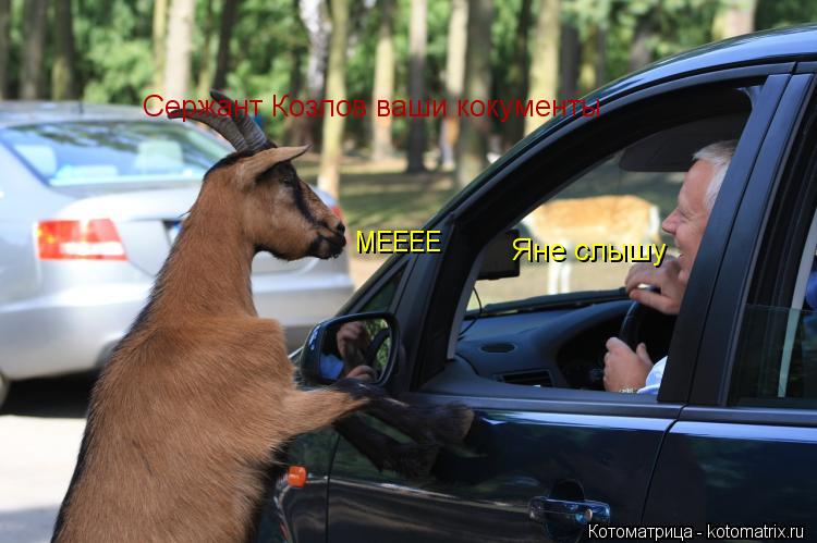Cержант Козлов ваши кокументы Яне слышу МЕЕЕЕ... Котоматрица: Cержант Козлов ваши кокументы Яне слышу МЕЕЕЕ