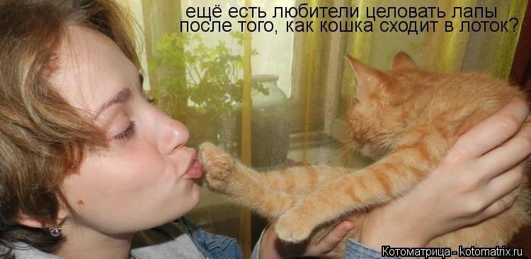 Котоматрица: ещё есть любители целовать лапы после того, как кошка сходит в лоток?