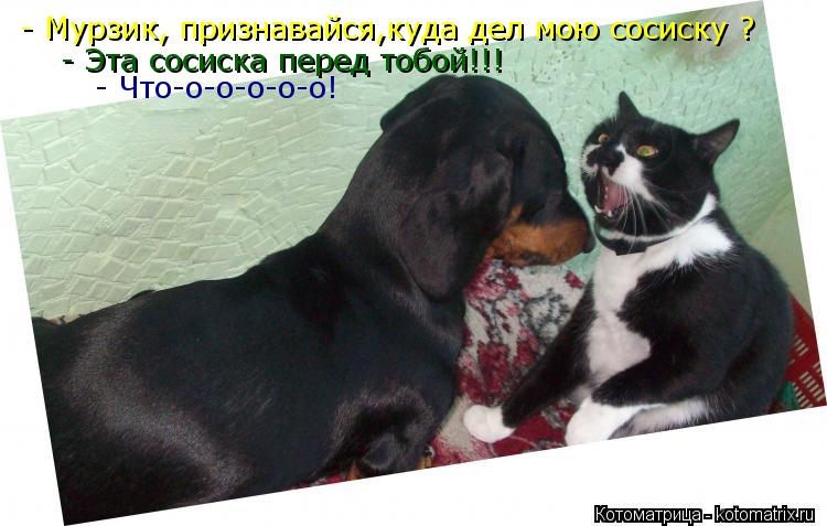 - Мурзик, признавайся,куда дел мою сосиску ? - Эта сосиска перед тобой!!! - Что-о-о-о-о-о!... Котоматрица: - Мурзик, признавайся,куда дел мою сосиску ? - Эта сосиска перед тобой!!! - Что-о-о-о-о-о!