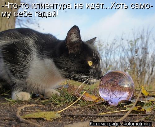 Котоматрица: -Что-то клиентура не идёт...Хоть само- му себе гадай!