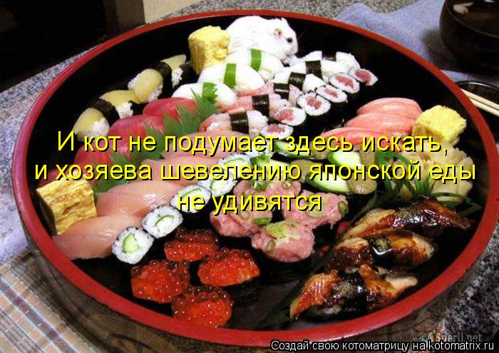 И кот не подумает здесь искать, и хозяева шевелению японской еды не удивятся... Котоматрица: И кот не подумает здесь искать, и хозяева шевелению японской еды не удивятся