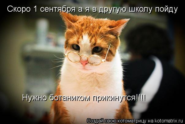 Котоматрица: Скоро 1 сентября а я в другую школу пойду  Нужно ботаником прикинутся!!!!