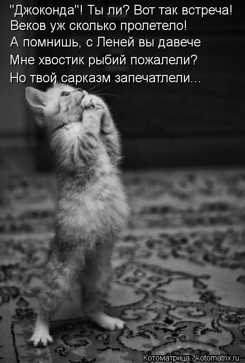 Котоматрица: "Джоконда"! Ты ли? Вот так встреча! Веков уж сколько пролетело! А помнишь, с Леней вы давече Мне хвостик рыбий пожалели? Но твой сарказм запеча