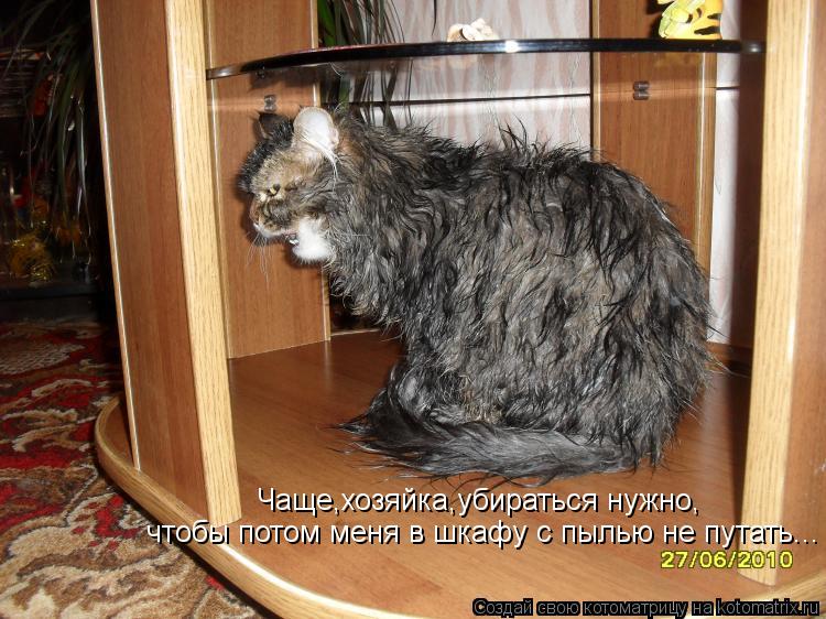 Котоматрица: Чаще,хозяйка,убираться нужно, чтобы потом меня в шкафу с пылью не путать...