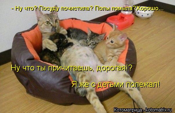 Котоматрица: - Ну что? Посуду почистила? Полы помыла?Хорошо... Ну что ты причитаешь, дорогая!? Я же с детьми полежал!