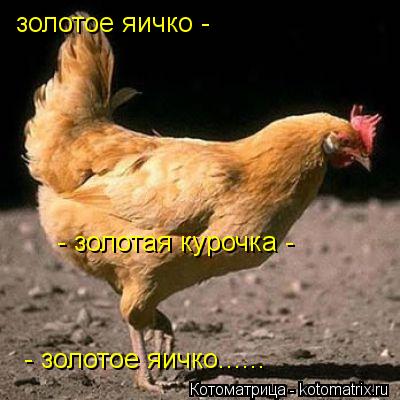 Котоматрица: золотое яичко - - золотая курочка - - золотое яичко......
