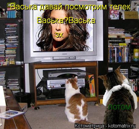Котоматрица: Васька давай посмотрим телек Васька?Васька эх потом