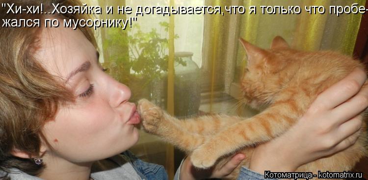 Котоматрица: "Хи-хи!..Хозяйка и не догадывается,что я только что пробе- жался по мусорнику!"