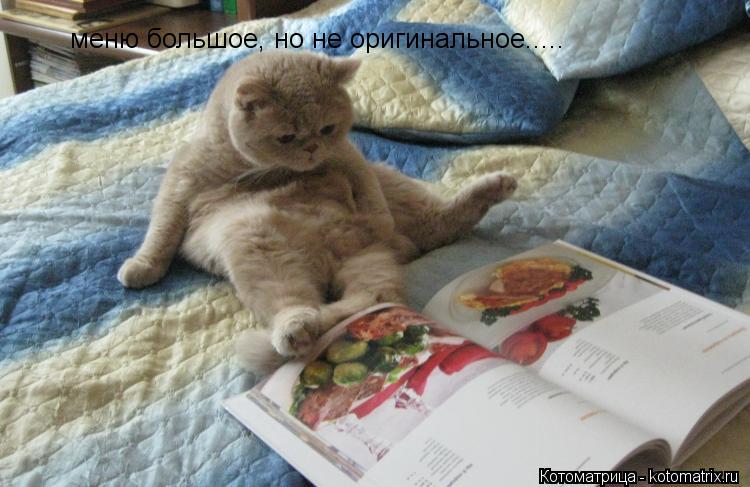 меню большое, но не оригинальное........ Котоматрица: меню большое, но не оригинальное.....