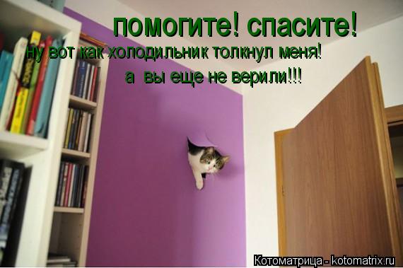 Котоматрица: помогите! спасите!  ну вот как холодильник толкнул меня! а  вы еще не верили!!!