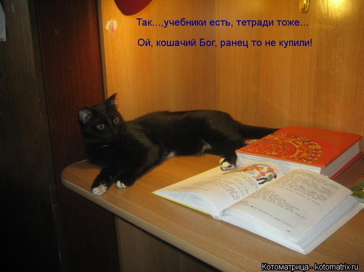Котоматрица: Так...,учебники есть, тетради тоже...  Ой, кошачий Бог, ранец то не купили!