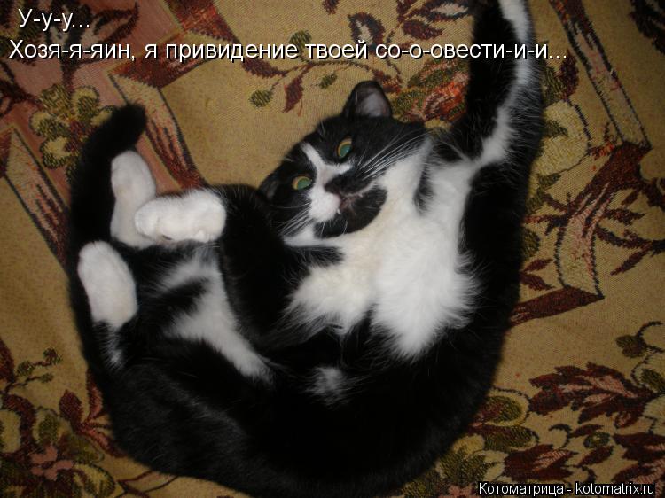 Котоматрица: У-у-у... Хозя-я-яин, я привидение твоей со-о-овести-и-и...