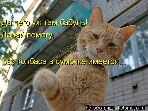 Котоматрица: Да чего уж там,бабуль! Давай помогу, раз колбаса в сумочке имеется...