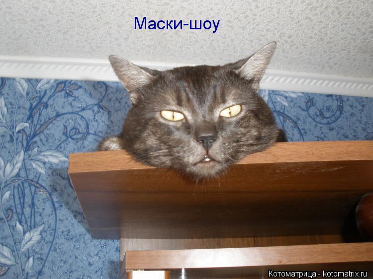 Котоматрица: Маски-шоу