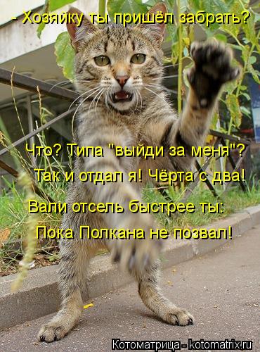 Котоматрица: - Хозяйку ты пришёл забрать? Так и отдал я! Чёрта с два! Что? Типа "выйди за меня"? Пока Полкана не позвал! Вали отсель быстрее ты: