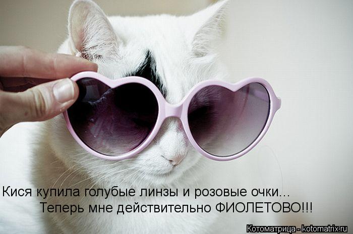 Котоматрица: Кися купила голубые линзы и розовые очки... Теперь мне действительно ФИОЛЕТОВО!!!