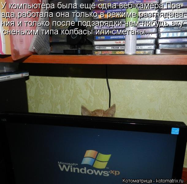 Котоматрица: У компьютера была ещё одна веб-камера.Пра- вда,работала она только в режиме разглядыва- ния и только после подзарядки чем-нибудь вку- сненьк